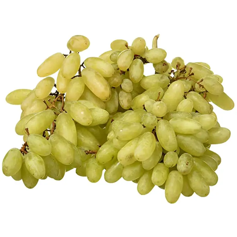 انگور