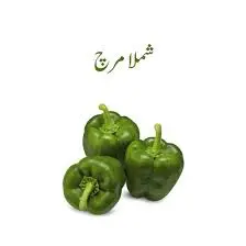 Capsicum Green 1Kg