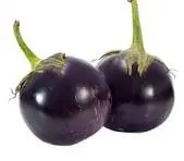 Eggplant round