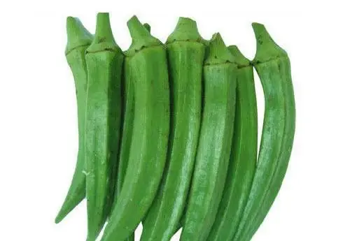 Lady Finger